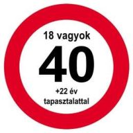   Sebességkorlátozó Szülinapi Tábla - Nem vagyok 40... - 40 cm