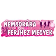 Lánybúcsús Parti Felirat - Nemsokára Férjhez Megyek!
