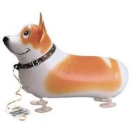 Sétáló Welsh Corgi Kutya Lufi