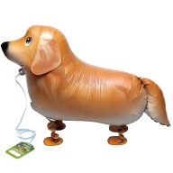 Sétáló Golden Retriver Kutya Lufi